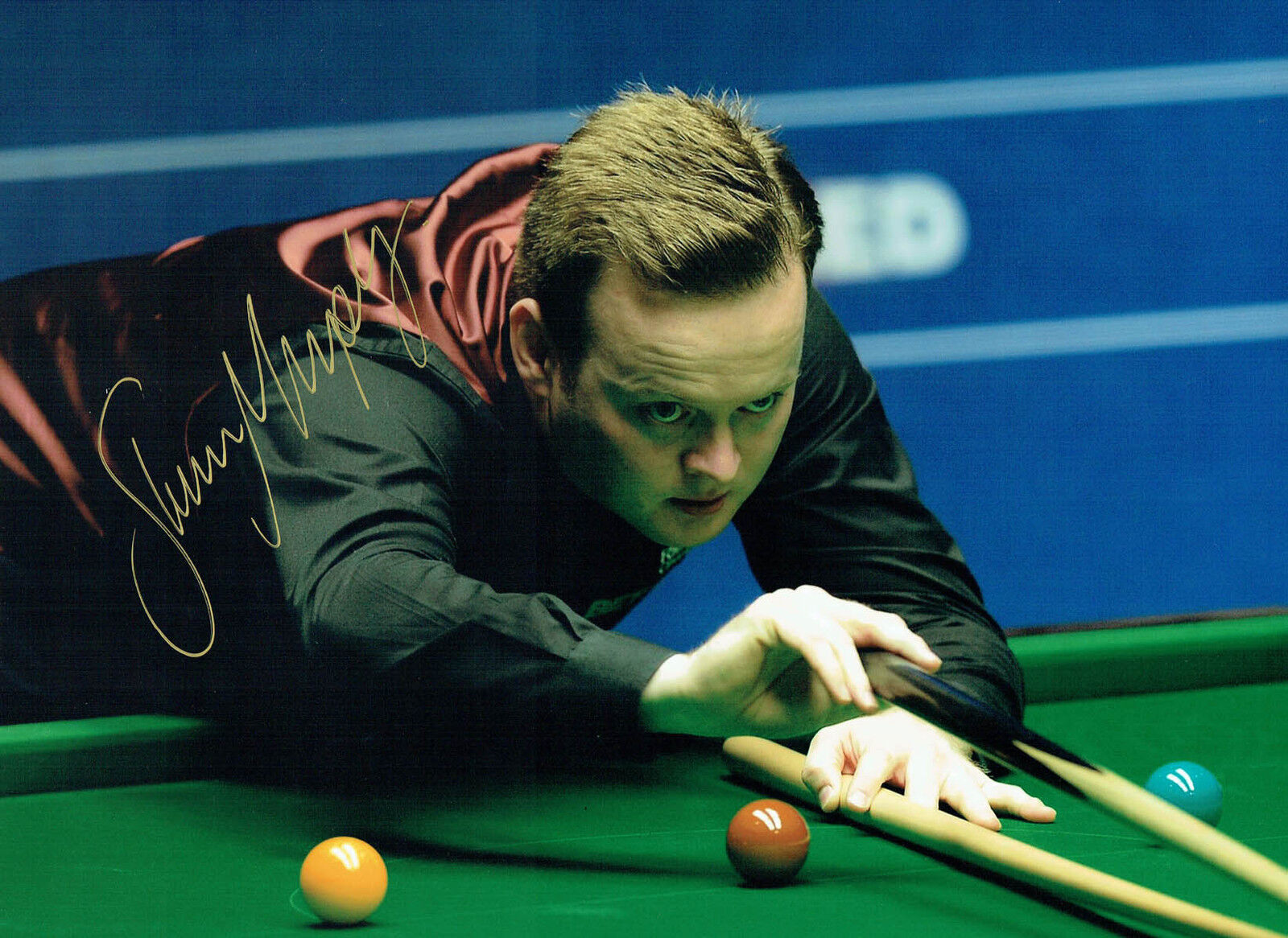 Shaun MURPHY Signed Autograph Snooker 16x12 Photo Poster painting B World Champion AFTAL COA