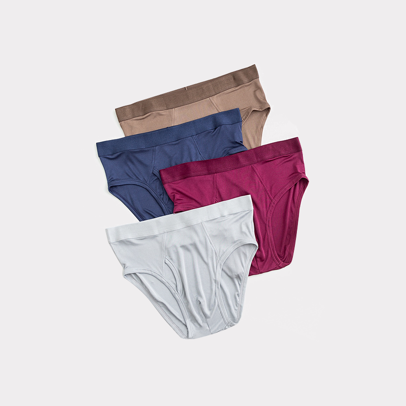 Clearance-Classic Men's Silk Briefs 4-Pack REAL SILK LIFE