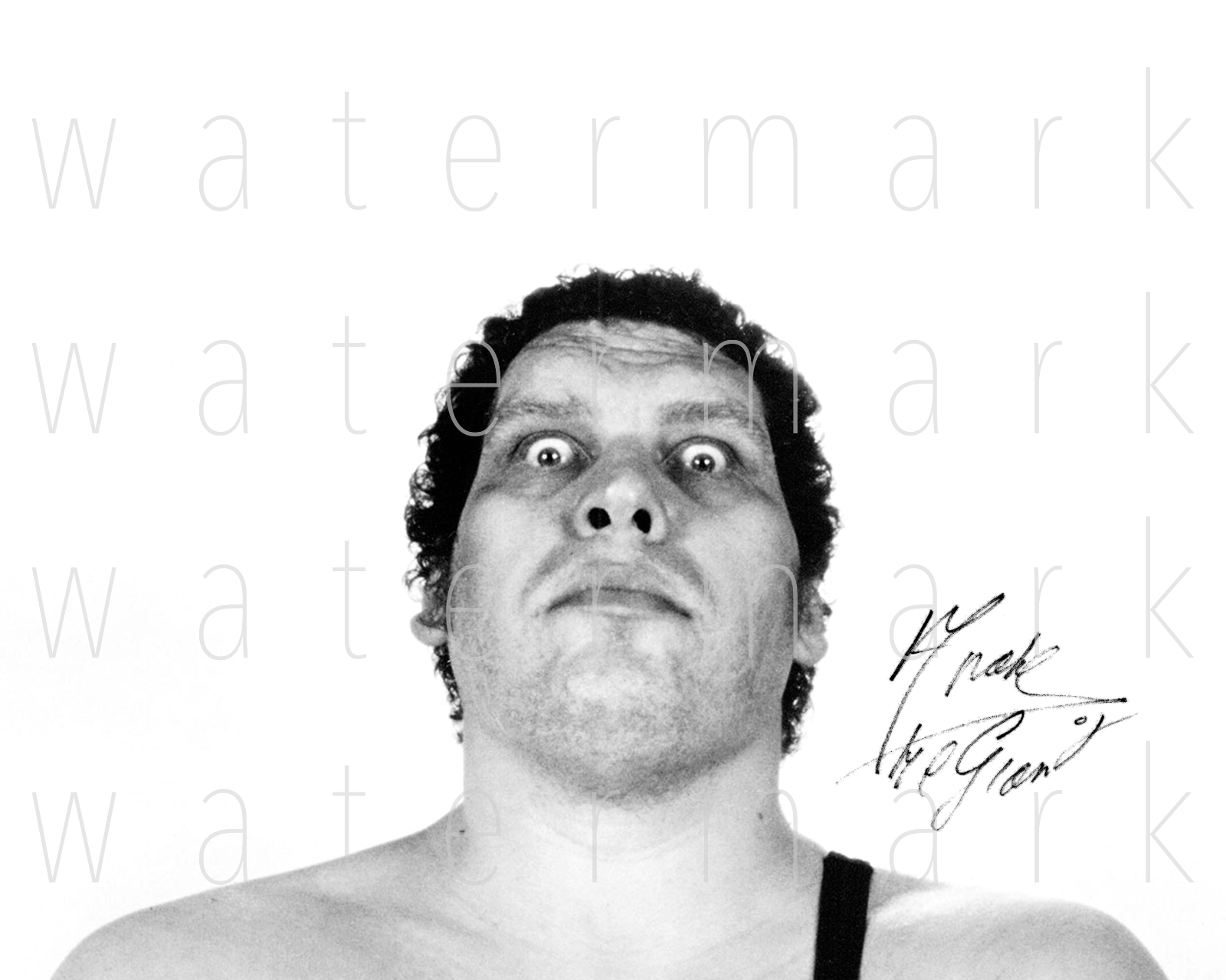 Andre the Giant WWE signed 8X10 inch Photo Poster painting picture poster autograph RP