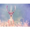 Deer  | Full Round Diamond Painting Kits