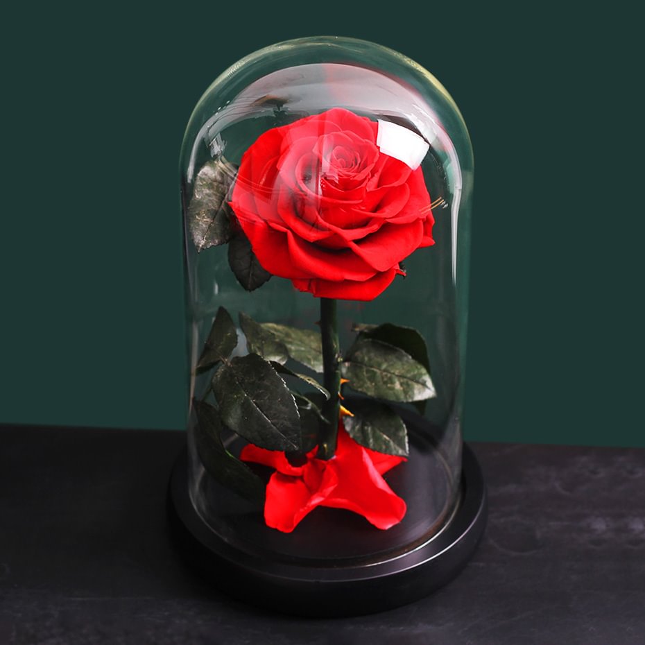 Beatea Preserved Rose In Glass Dome