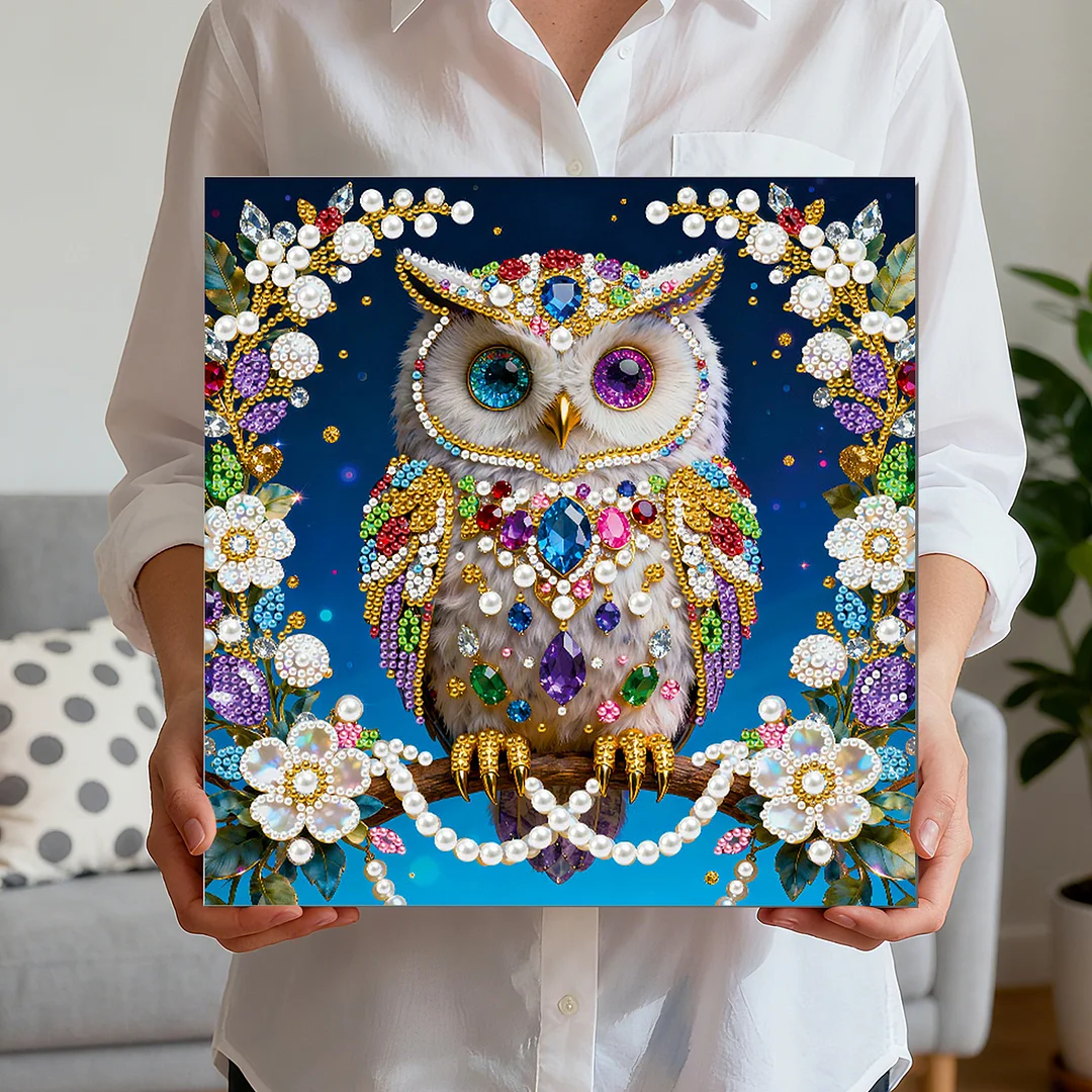 Owl DIY Pearl Art Diamond Painting Kit for Adults Home Decor 25x25cm With Frame