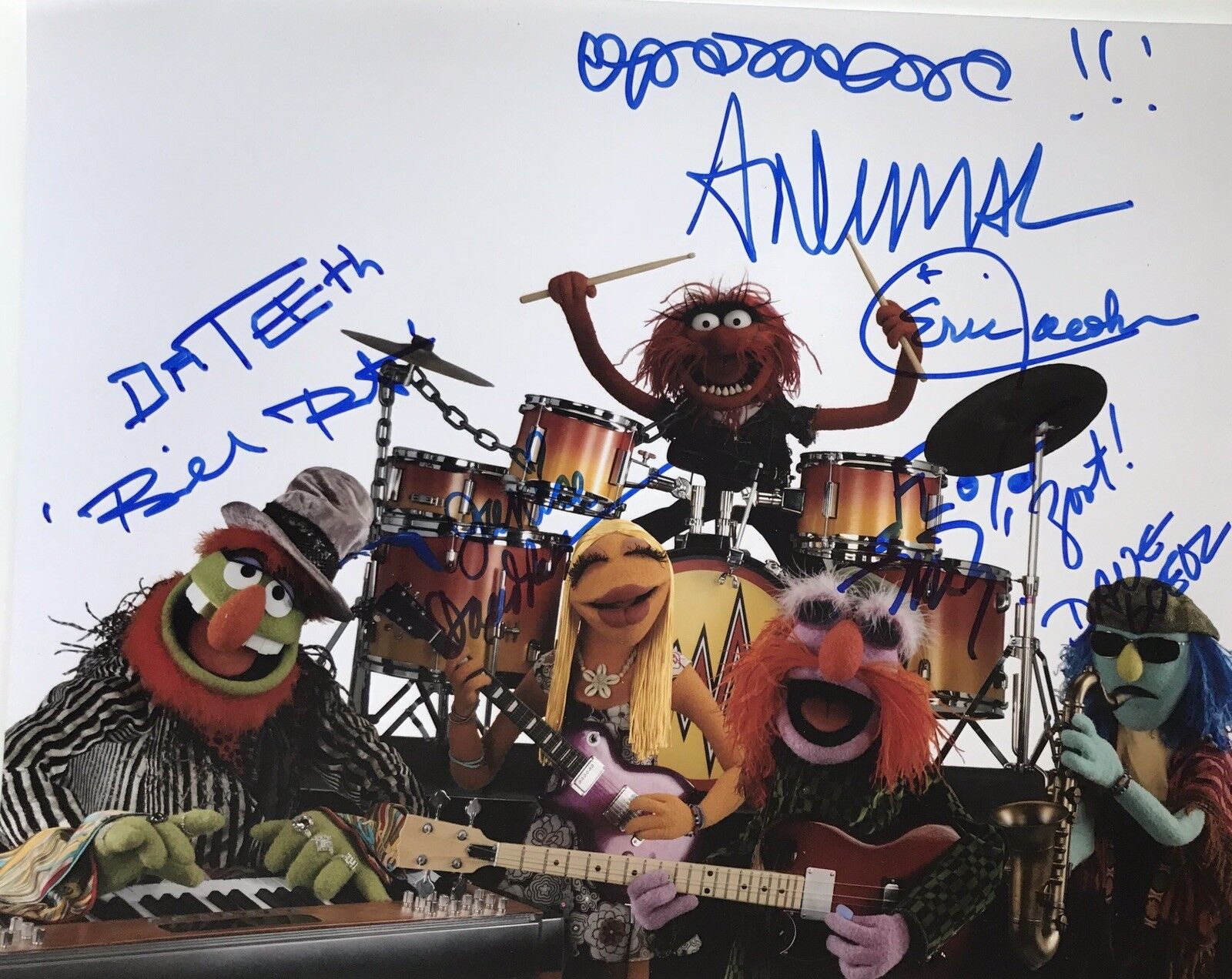 Electric Mayhem Band Sign signed 8x10 Color Photo Poster painting The Muppets