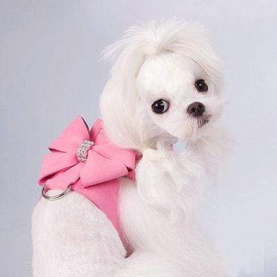 Diamonds and bow Dog harness