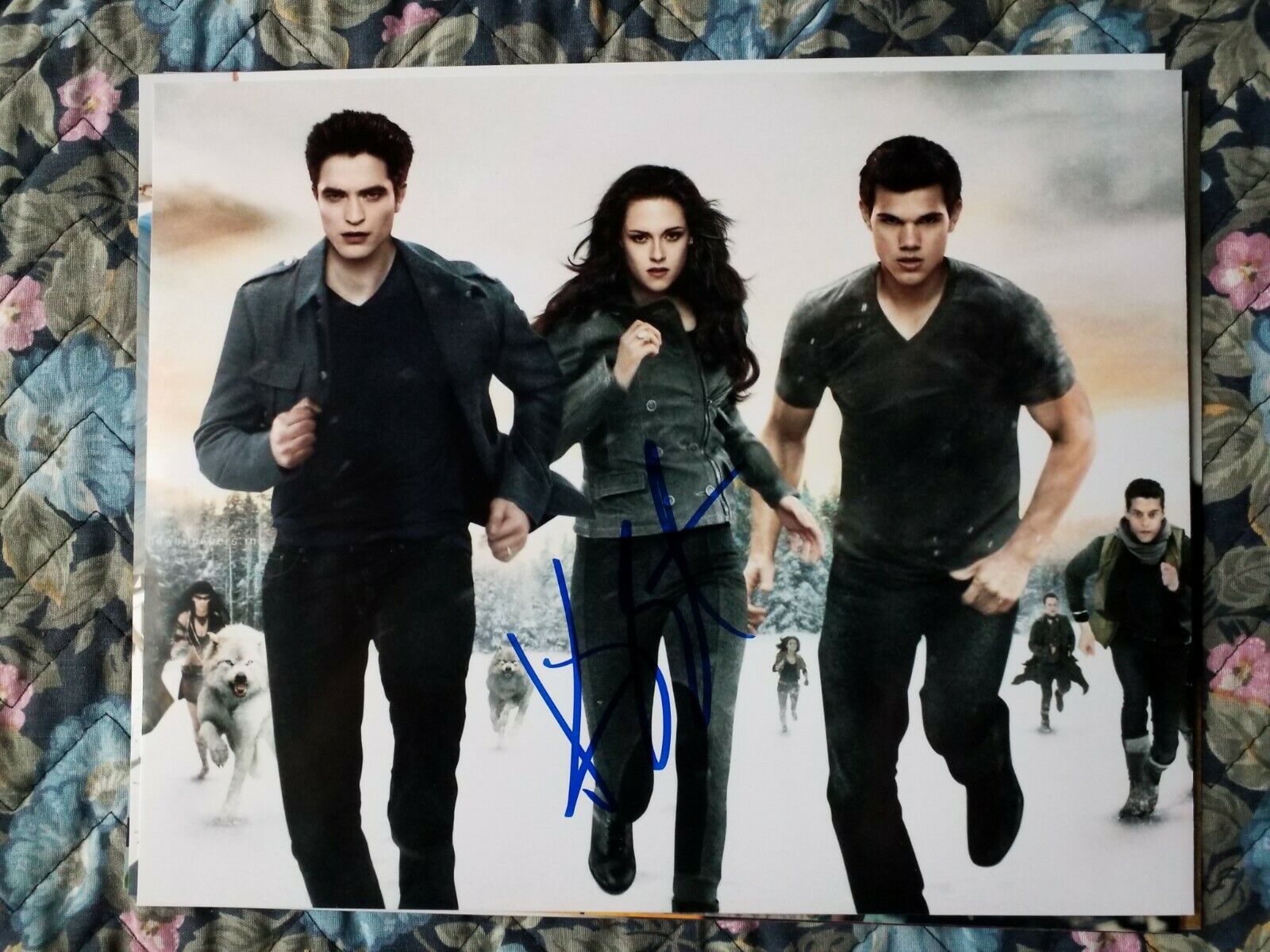 Kristen Stewart Authentic Signed Autographed 8x10 Photo Poster paintinggraph Twilight