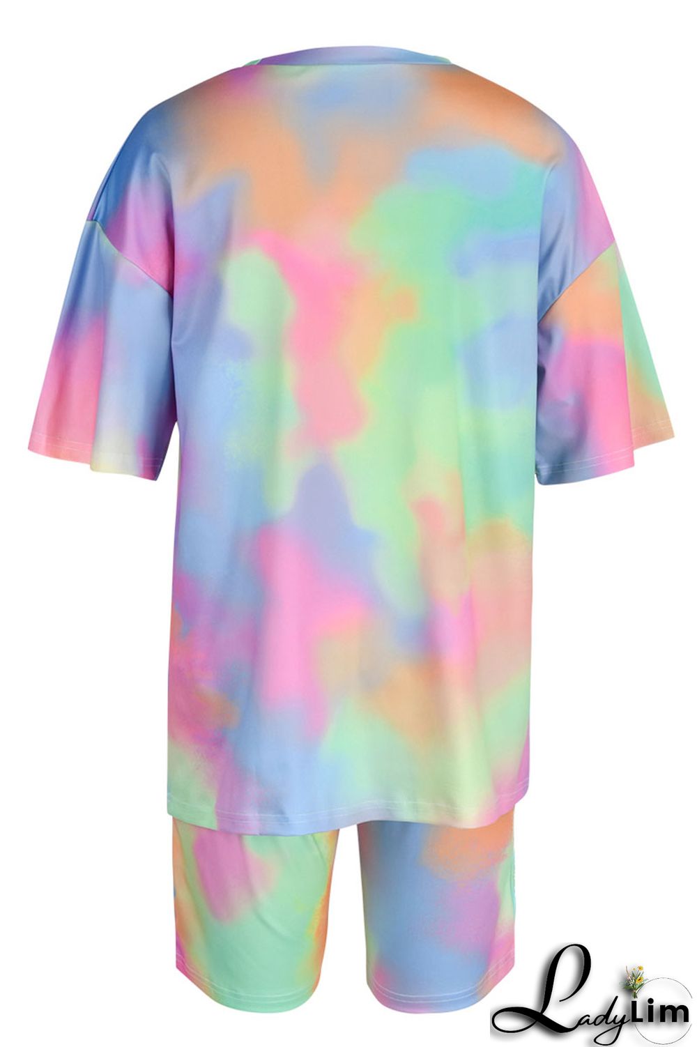 Light Blue Casual Print Patchwork O Neck Short Sleeve Two Pieces