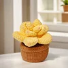 4Pcs Potted Plants Crochet Kit DIY Crochet Starter Kit Crochet Set for Beginners