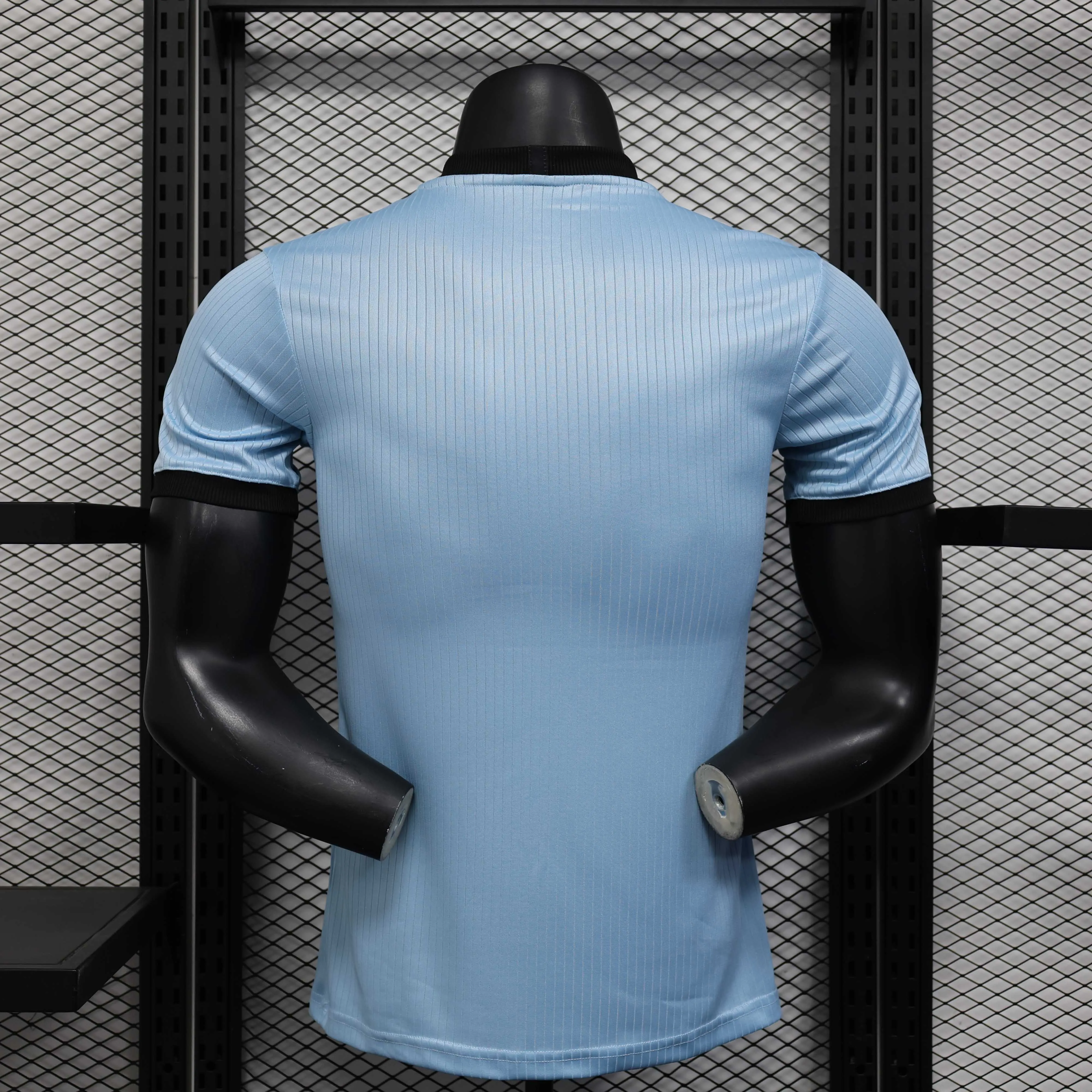 2025/2026 Player Version Germany 125th Anniversary Edition Sky Blue Football Jersey 1:1 Thai Quality