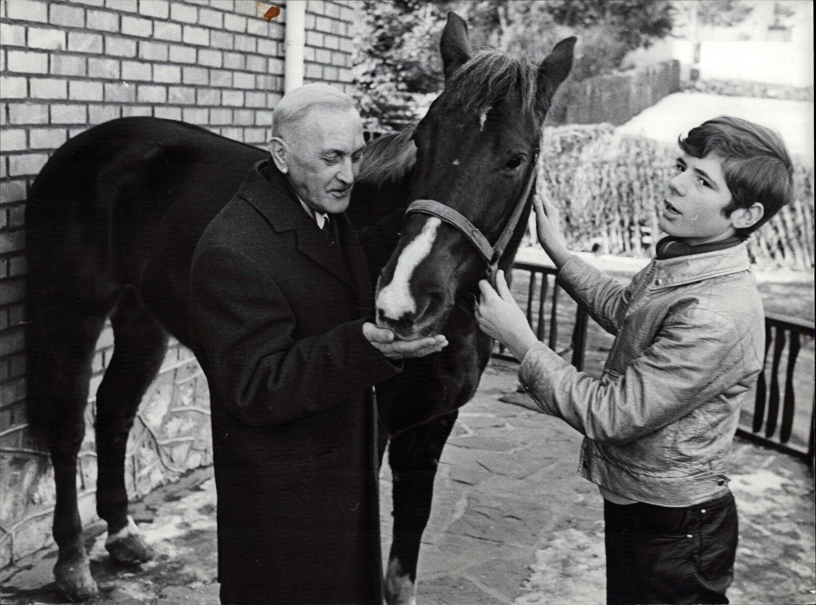 Heintje With Pferd - Vintage Press Photo Poster painting Norbert Unfried (U-3874