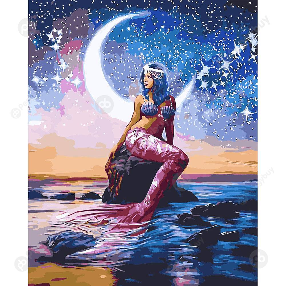 

40*50CM Paint By Numbers-Night Sky Mermaid, 501 Original