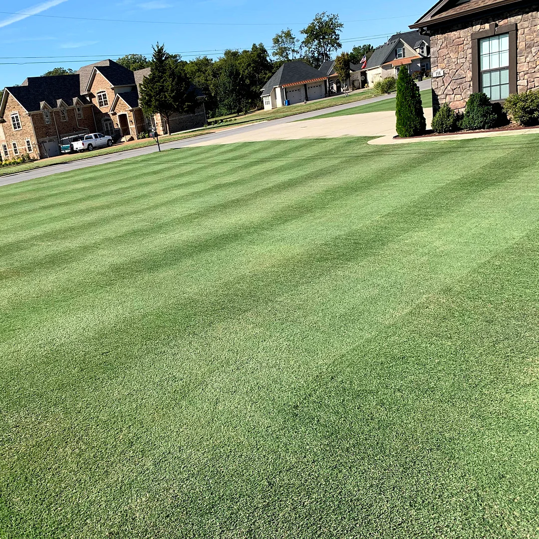 Yukon Bermuda Grass Seed