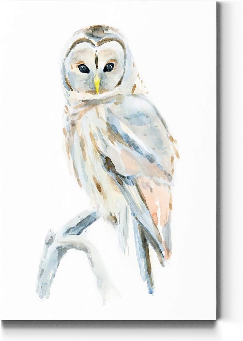 Portrait Style Canvas Wall Art: Animals, Majestic Birds, Fish, Water Foul, Duck & Goose, Rabbits, Rustic & Modern Decor for Home & Office, Ready to Hang - Arctic Owl II 24X36 24X36