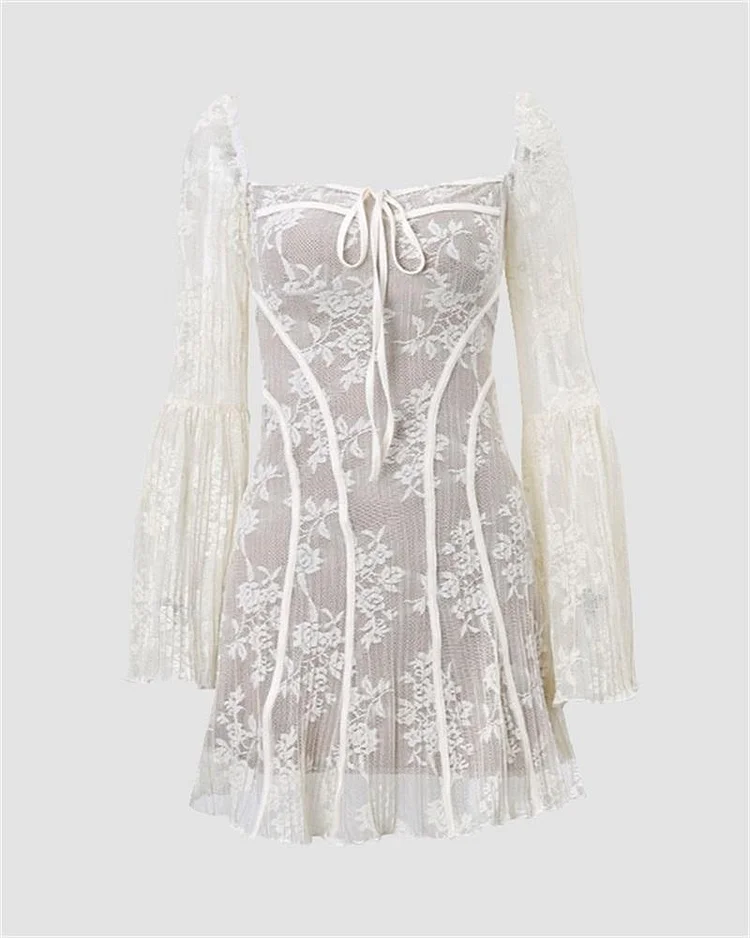 Ballet Lace Embroidery Corset Mini Dress