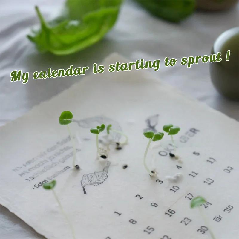 🌱2025 Eco-Friendly Plantable Seed Calendar🗓️