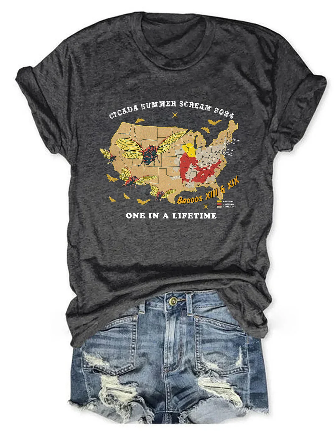 Cicadas Summer Scream Reunion Tour 2024 T-shirt