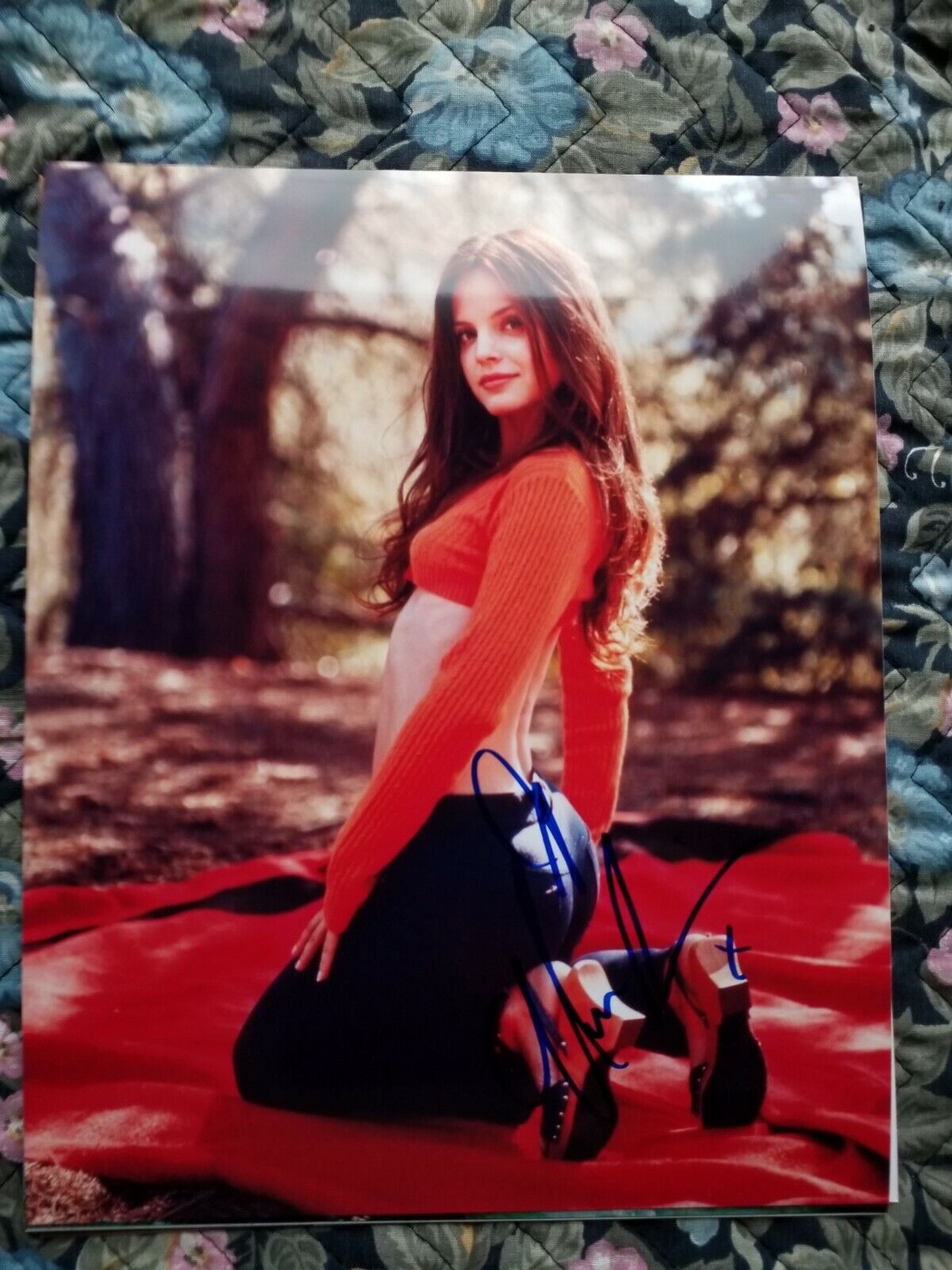 Mena Suvari Authentic Autographed 8x10 American Pie & American Beauty Signed