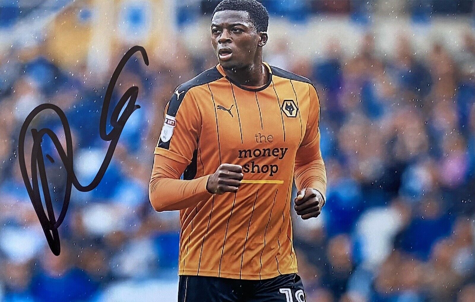 Dominic Iorfa Genuine Hand Signed Wolves 6X4 Photo Poster painting