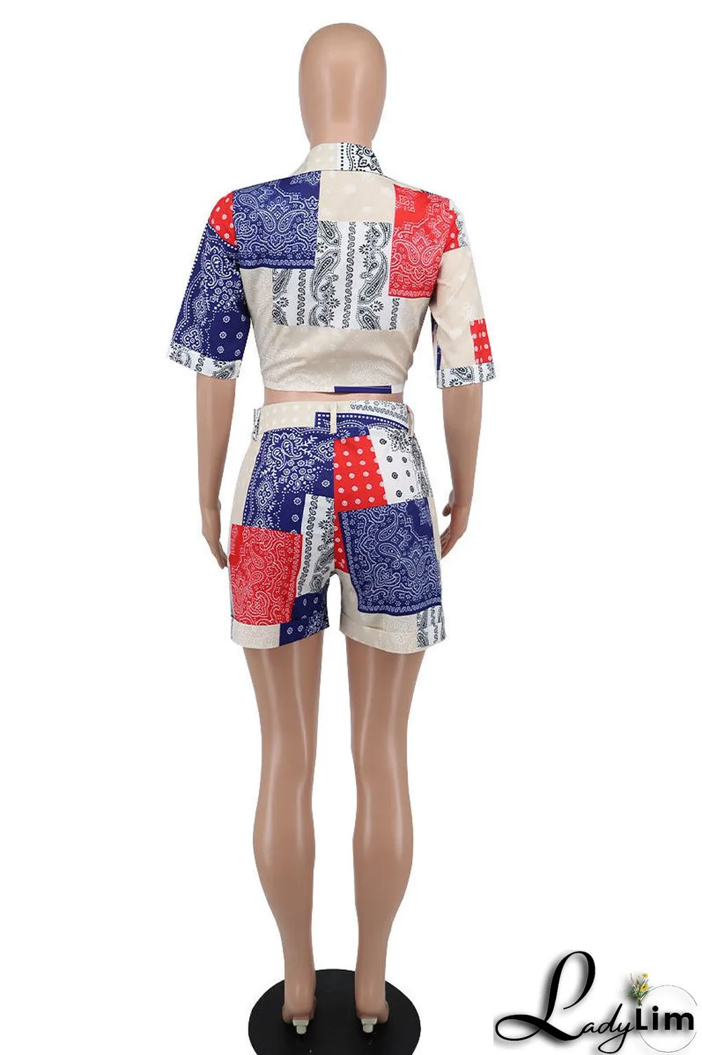 Blue Fashion Casual Print Bandage Turndown Collar Short Sleeve Two Pieces
