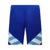 Argentina Away Soccer Shorts 2024