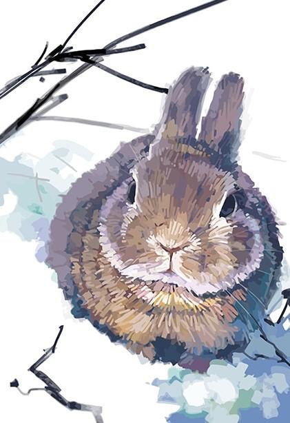 

Rabbit in Snow – Paint By Numbers - 40*50CM, 501 Original