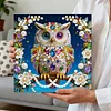 DIY Pearl Painting Owl for Home Decor with Frame(25x25cm)