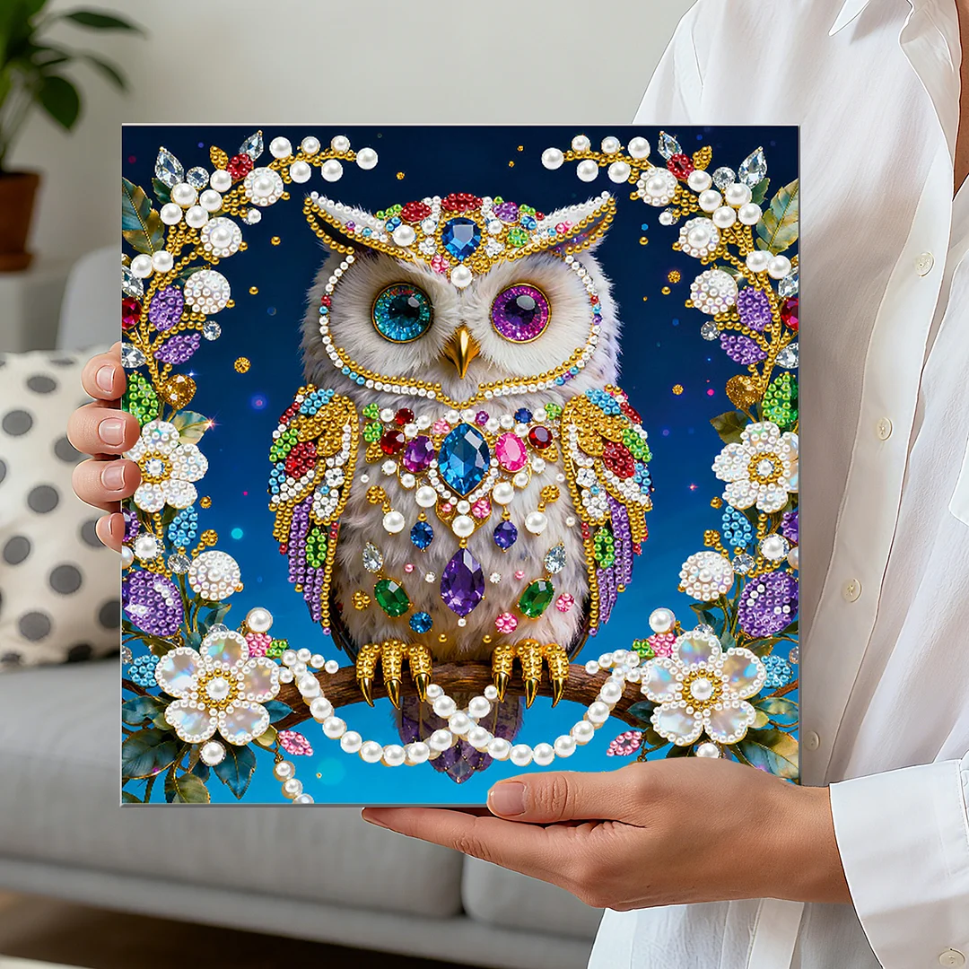 Owl DIY Pearl Art Diamond Painting Kit for Adults Home Decor 25x25cm With Frame