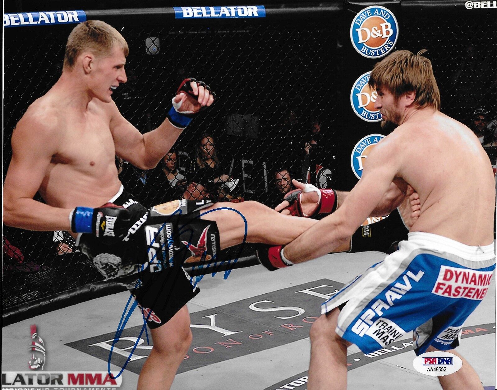 Alexander Volkov Signed Bellator MMA 8x10 Photo Poster painting PSA/DNA COA Picture Autograph 4