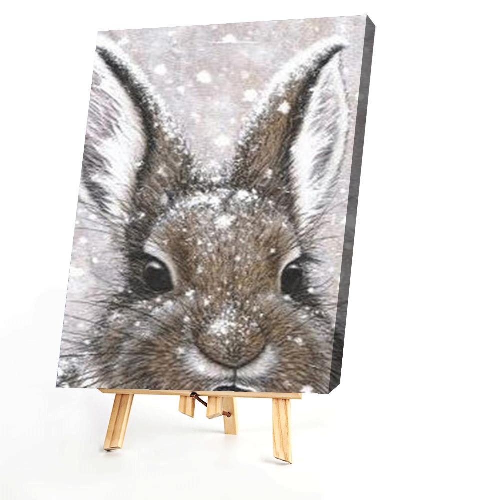 Rabbit  - Painting By Numbers - 40*50CM gbfke