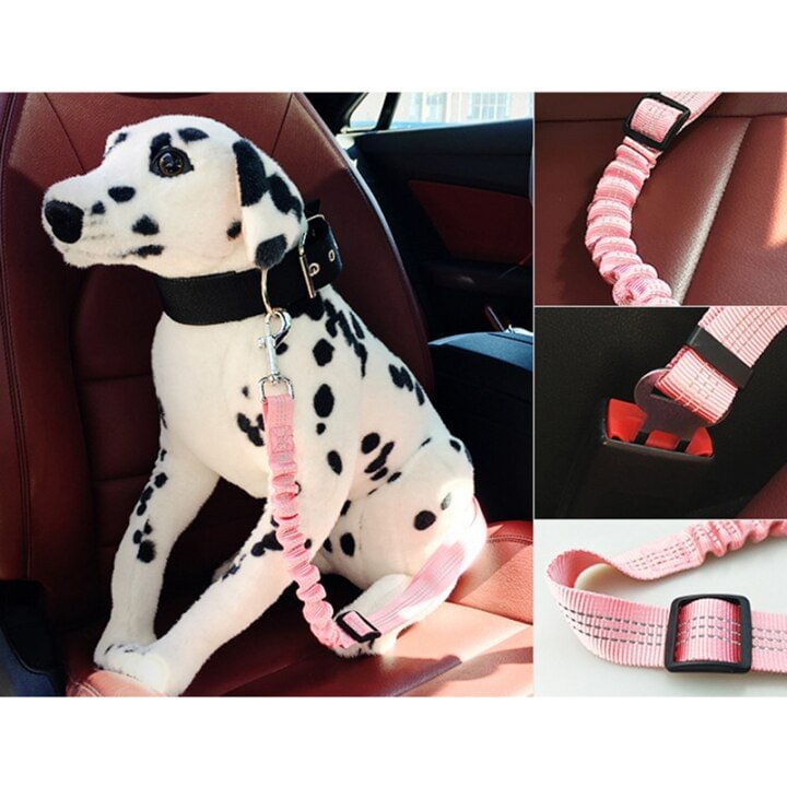 Pet Safety SeatBelt