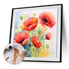 Painting By Numbers-Poppy(40*40CM)