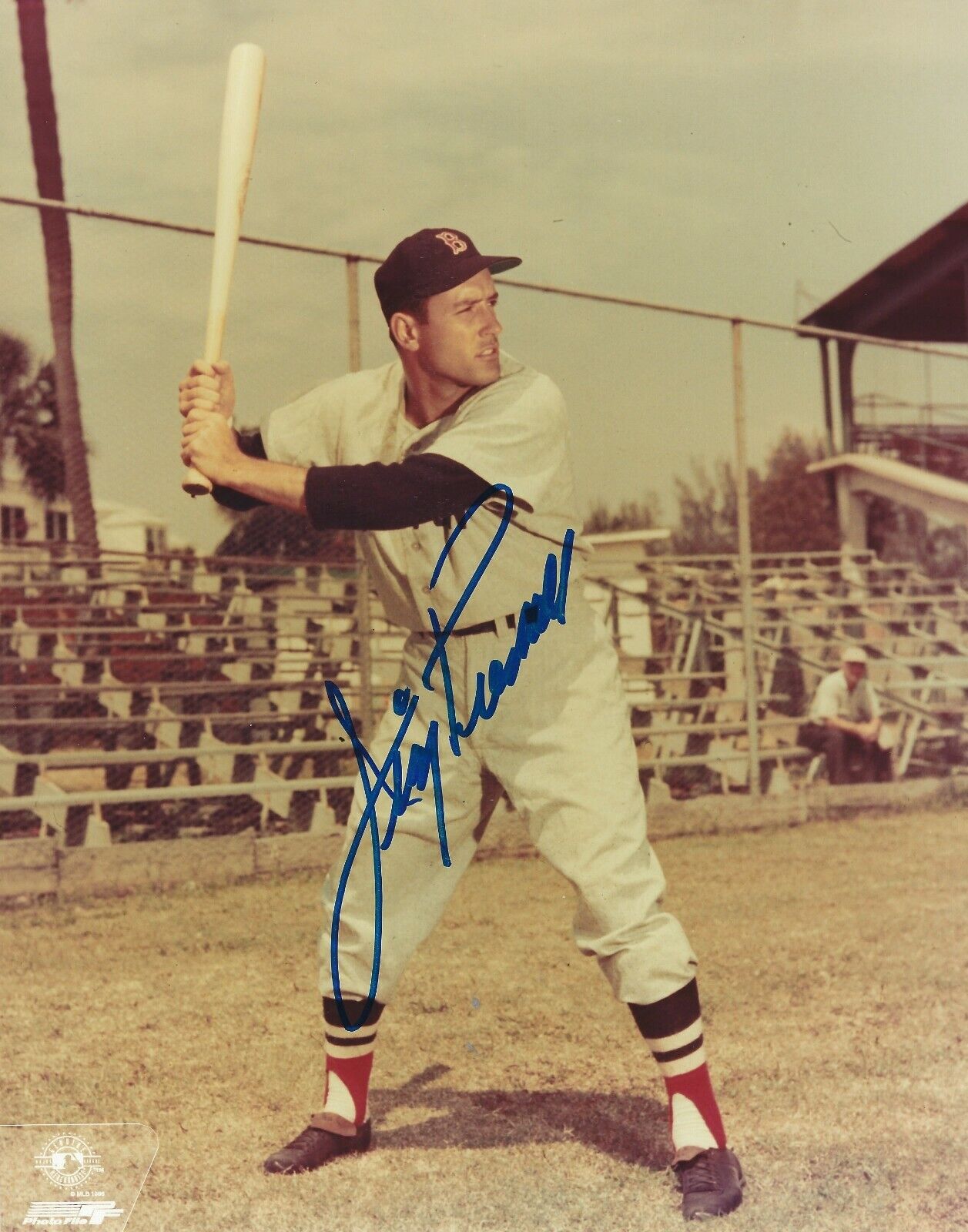 Signed JIMMY PIERSALL 8X10 Boston Red Sox Autographed Photo Poster painting - COA