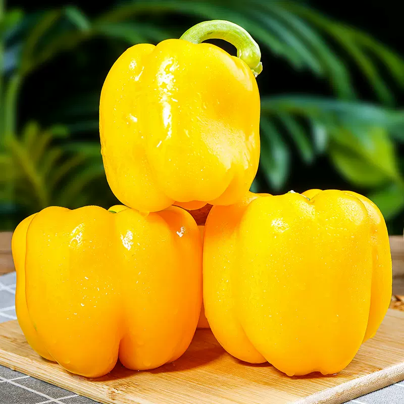 🫑Colorful Organic Bell Pepper Seeds Jonyparkseed®