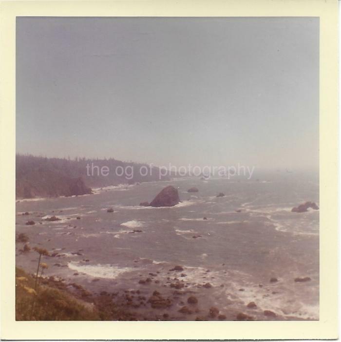 Patrick's Point FOUND Photo Poster painting Color CALIFORNIA COAST Original Snapshot 910 10 C