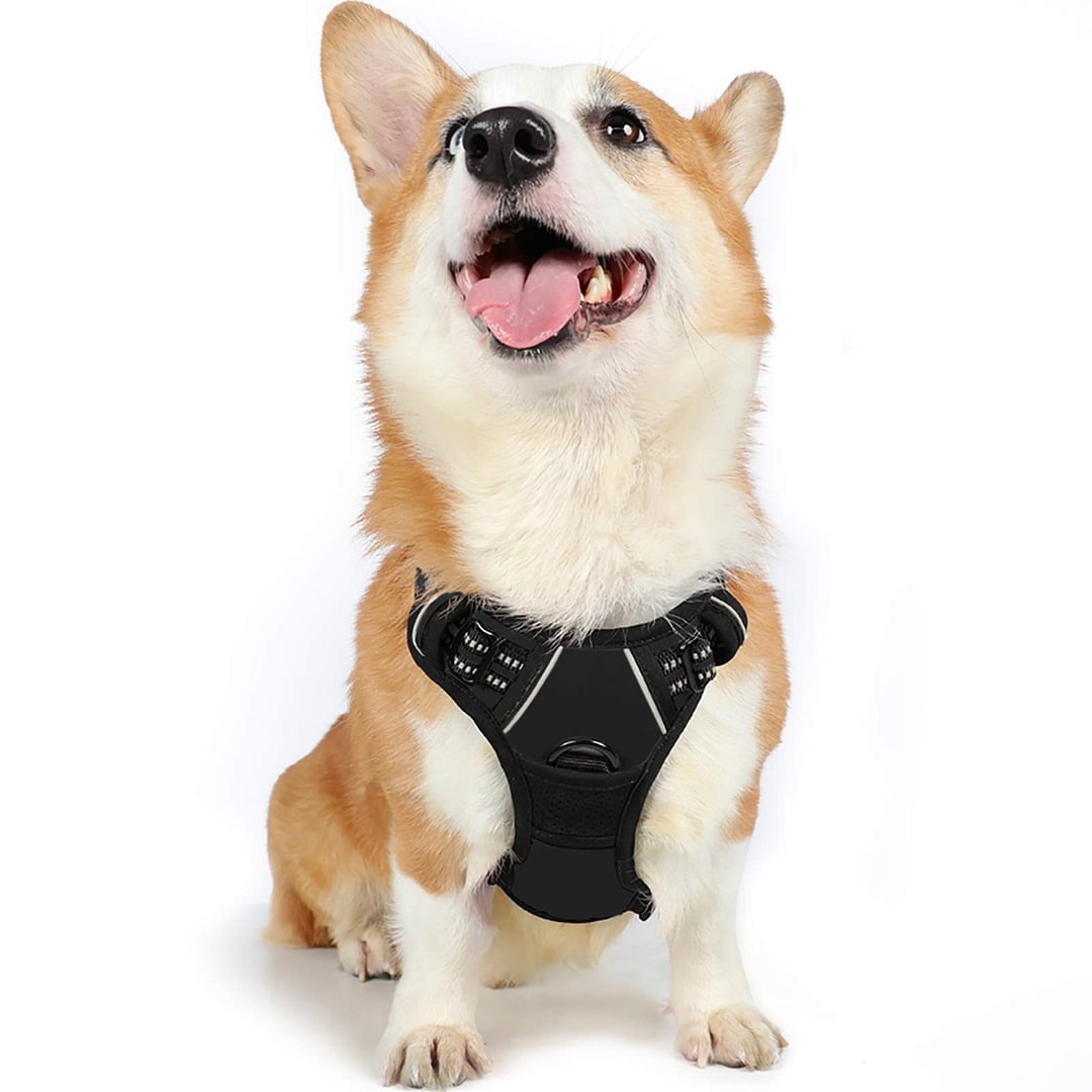 Dog Harness, No-Pull Pet Harness with 2 Leash Clips, Adjustable Soft Padded Dog Vest