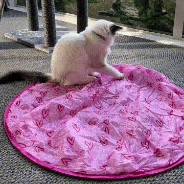 2 in 1 Simulated Interactive hunting cat toy - BUY 2 VIP SHIPPING