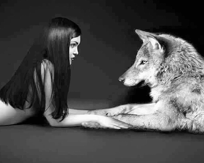

Girl With Her Wolf Best Friend – Paint By Numbers - 40*50CM, 501 Original