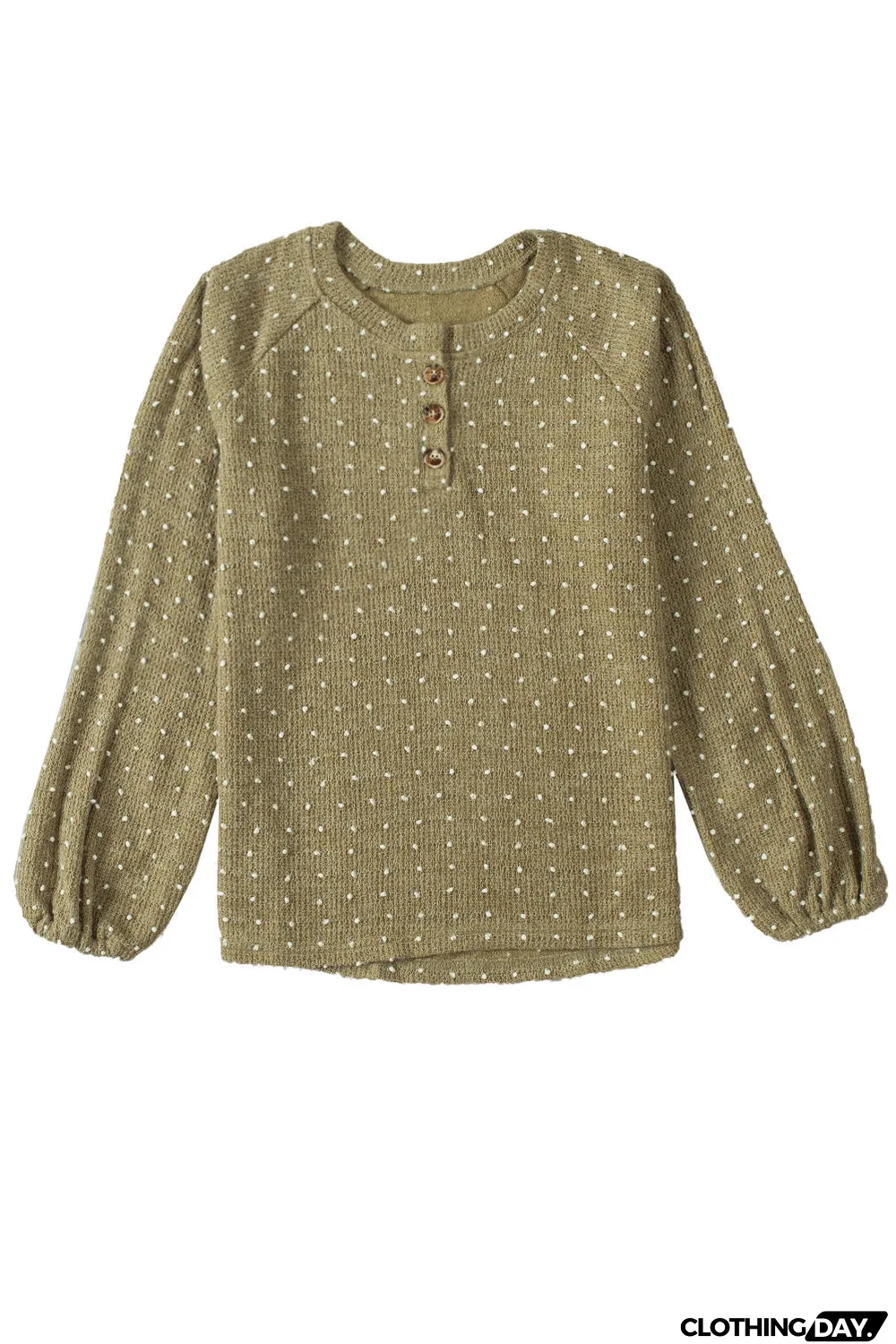 Swiss Dot Raglan Sleeves Knit Top