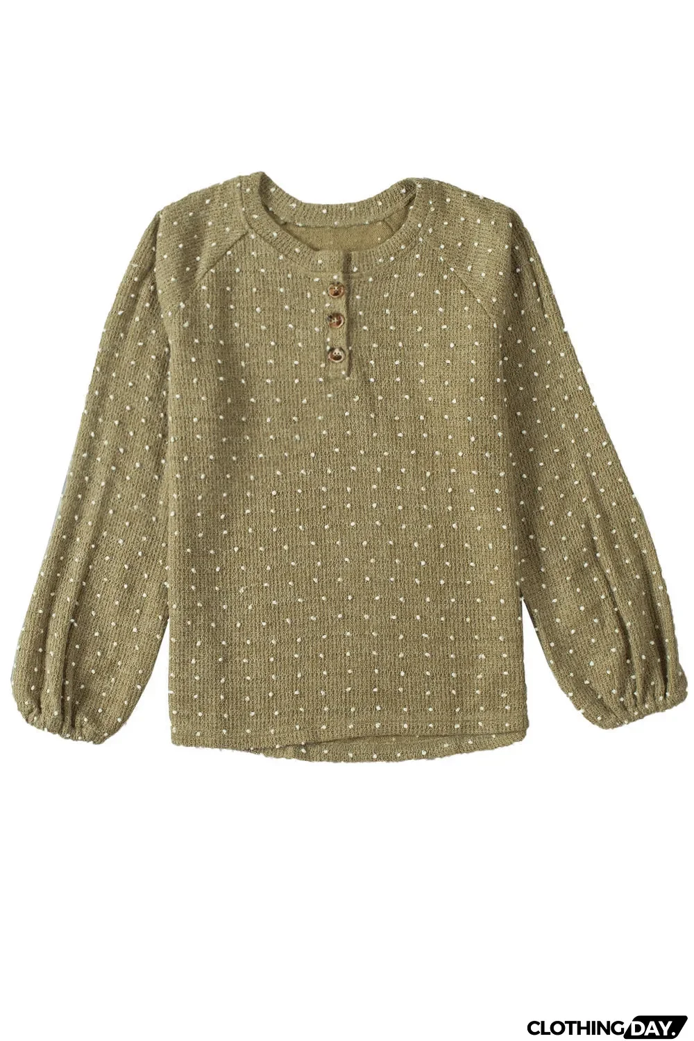 Swiss Dot Raglan Sleeves Knit Top