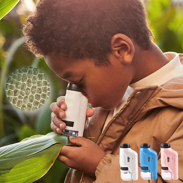 Kid's Portable Mini Pocket Microscope - tree - Codlins