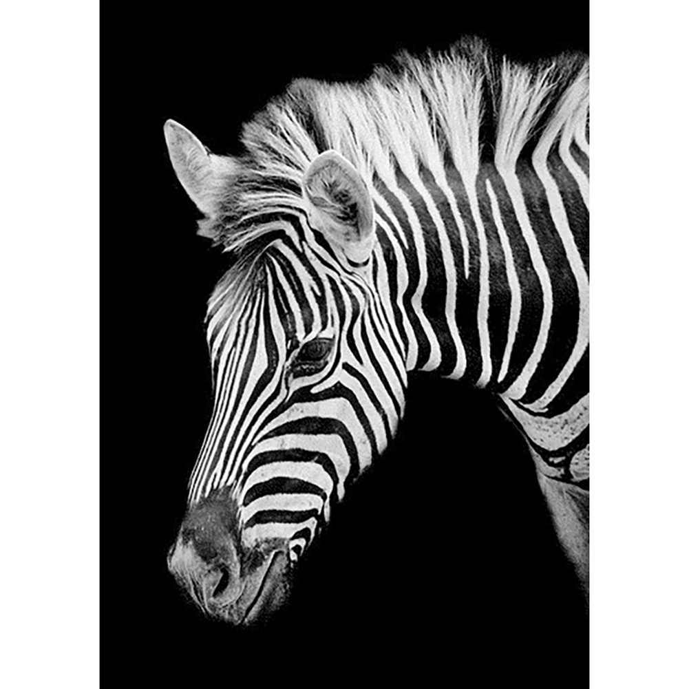 

Multi-Size) Zebra - Round/Square Drill Diamond Painting, Square diamond, 501 Original