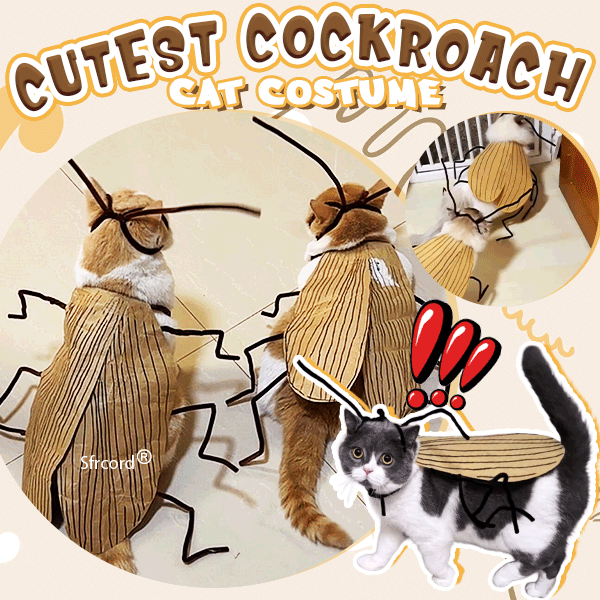 🔥Hot Sale 49% Off🔥Fun Cat-Roach Costume