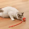 🌟Boule Roulante Automatique Intelligente pour Animaux de Compagnie