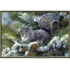 Squirrel | Full Round Diamond Painting Kits