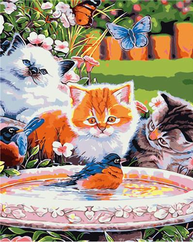 

Cats Looking At Bird – Paint By Numbers - 40*50CM, 501 Original