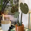 Monstera coaster creative table decoration simulation plant potted magnetic insulation pad tree leaf anti-scalding pad