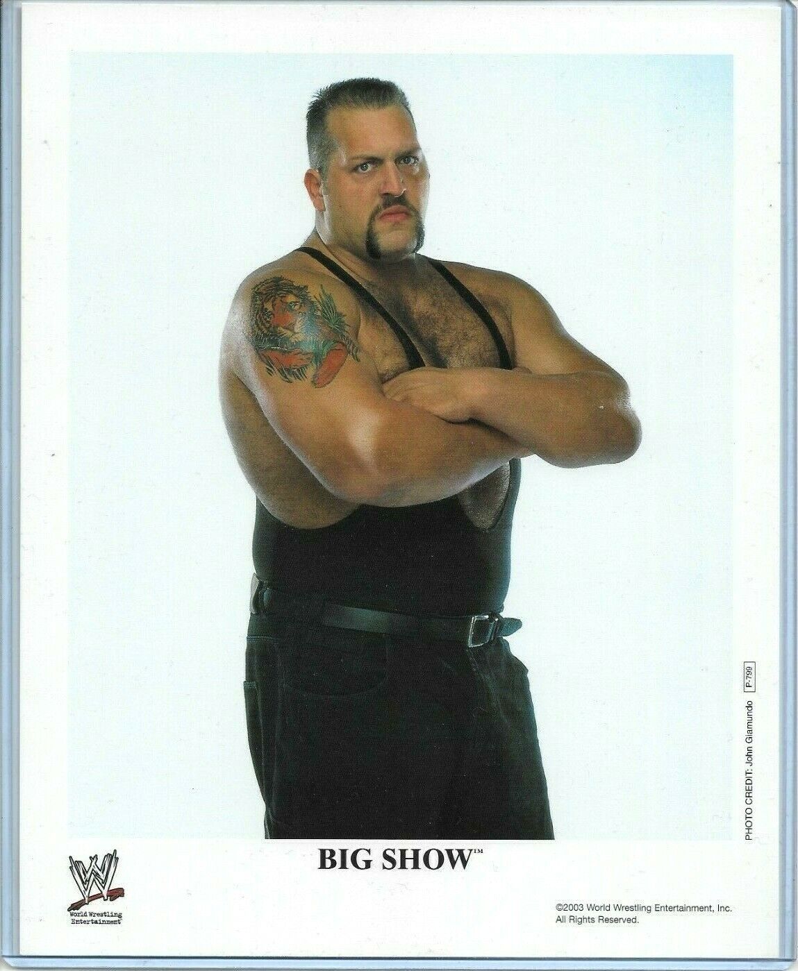 WWE BIG SHOW P-799 OFFICIAL LICENSED AUTHENTIC ORIGINAL 8X10 PROMO Photo Poster painting RARE