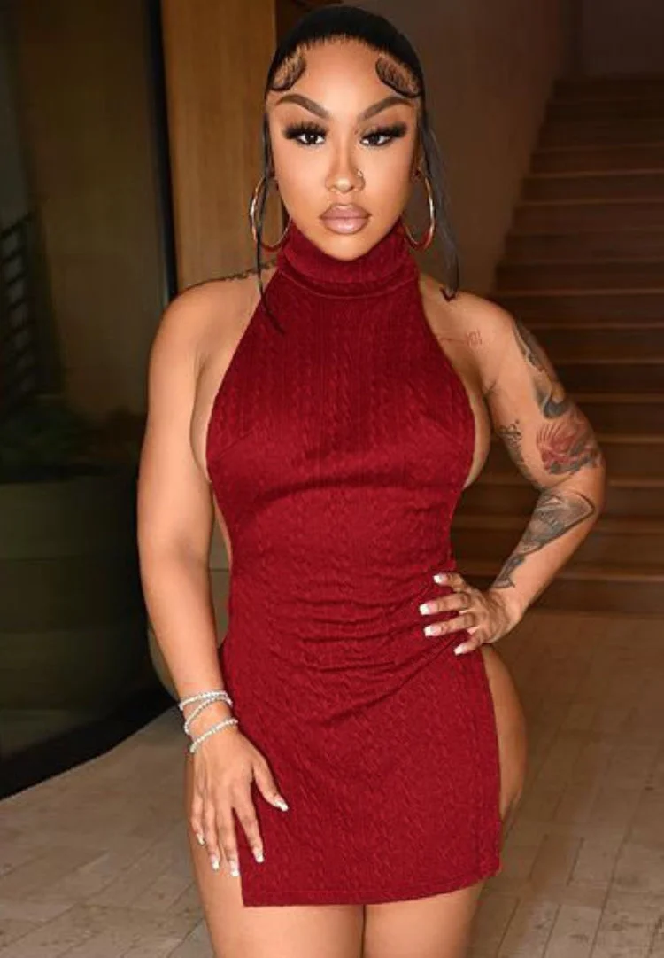 Toloer Toloer Toloer Winter Sexy High Neck Backless Mini Dress 102-1-Outfit Ideas