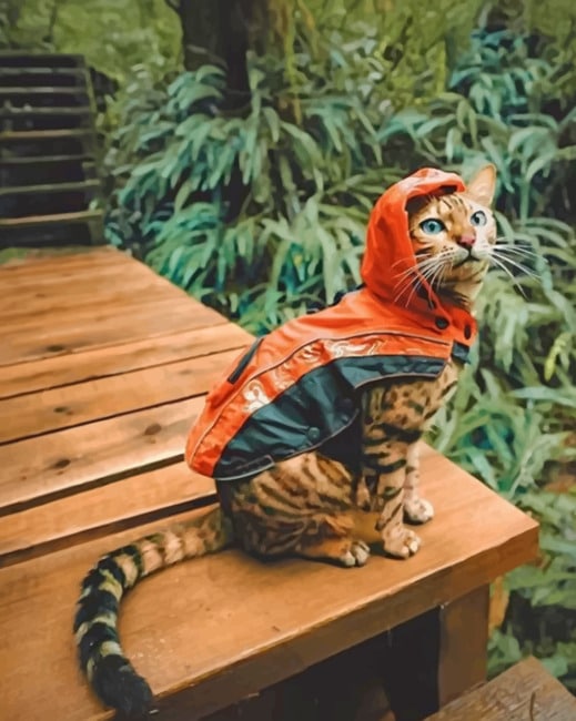 

Bengal Cat Wearing An Orange Hoodie – Paint By Numbers - 40*50CM, 501 Original