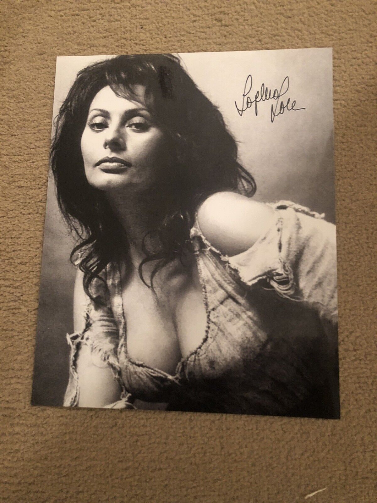 SOPHIA LOREN (ACTRESS) PRESIGNED Photo Poster painting- 10x8”