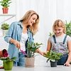 6Pcs Plant Support Stakes Half Round Plant Stake for Climbing Plants (25cm)